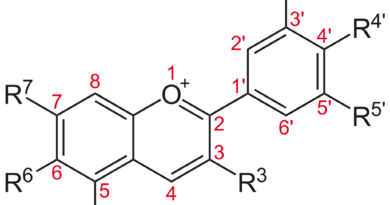 E163 - Anthocyanen