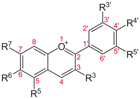 E163 - Anthocyanen