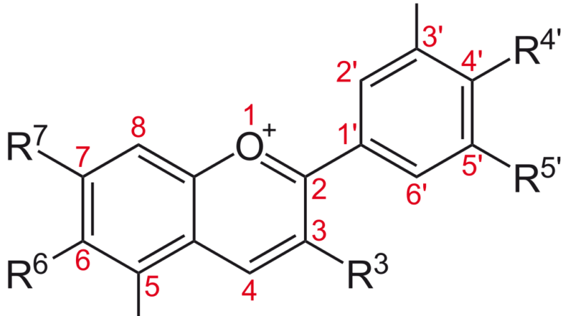 E163 - Anthocyanen