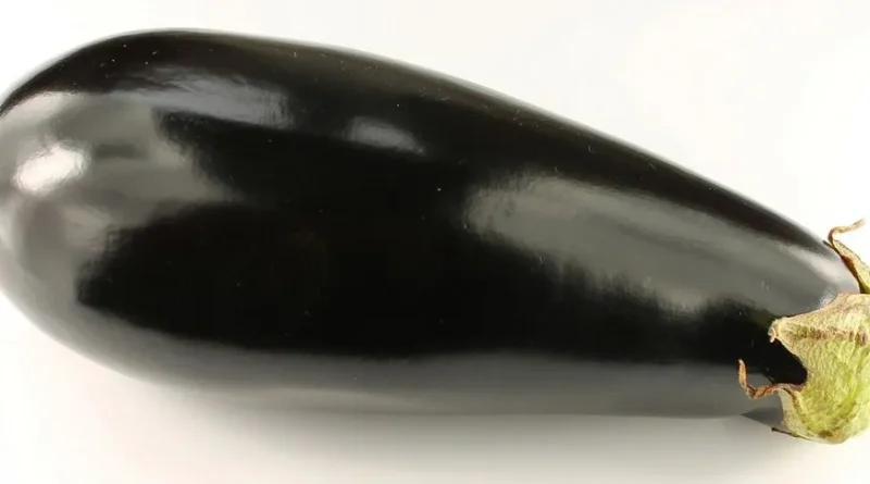 aubergine