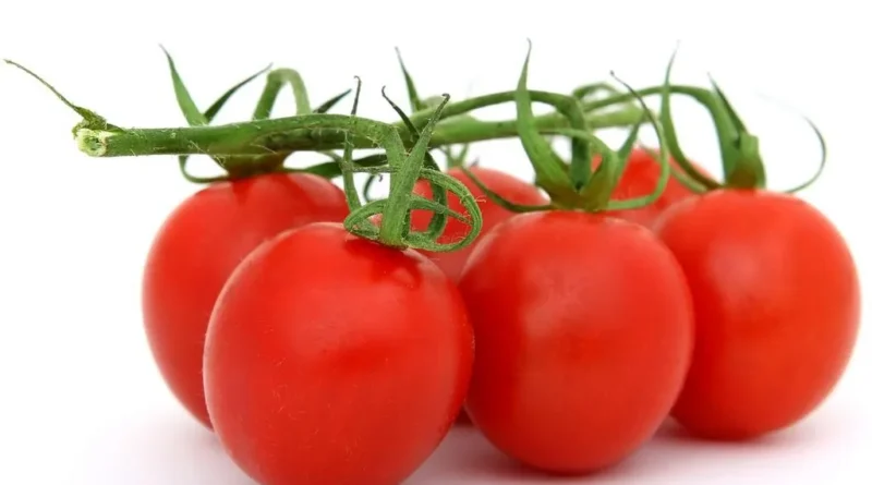 tomaten